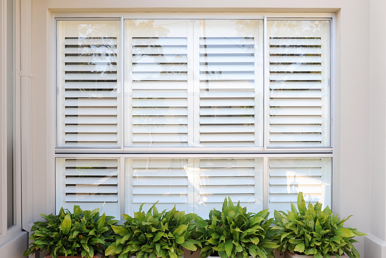Shutters Blacktown