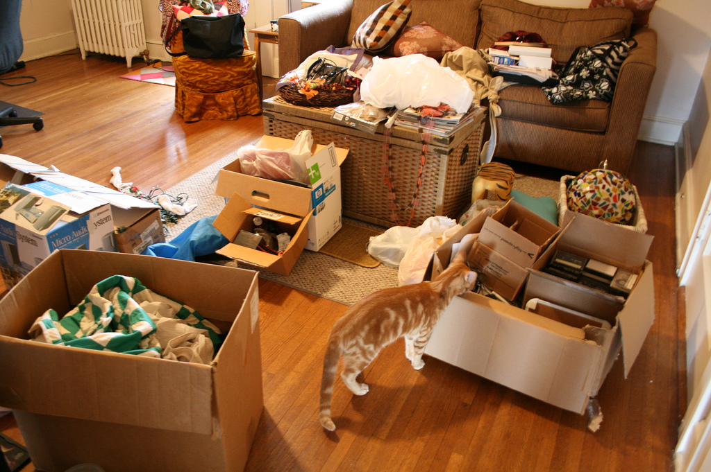 “Less Is More: The Art Of Decluttering To Downsize Your Home”
