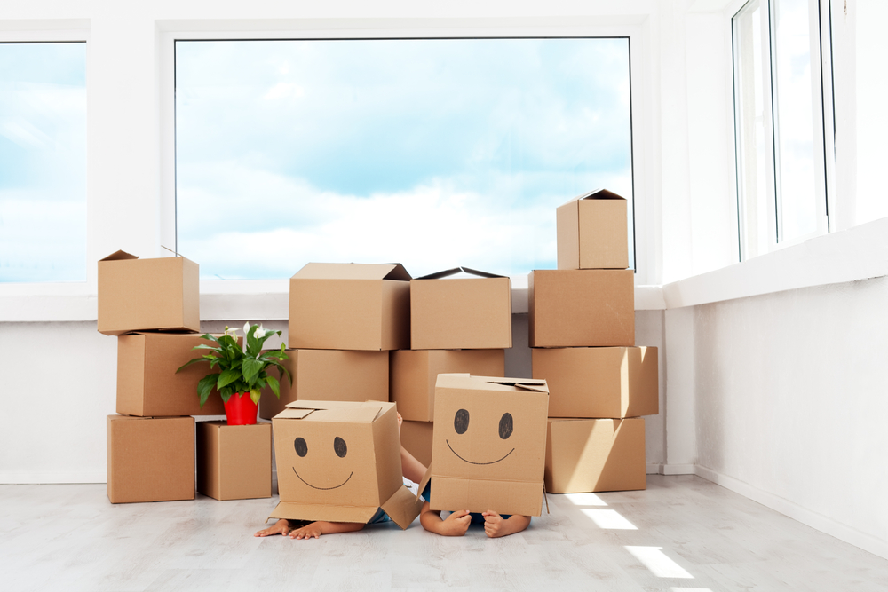 removals hills district