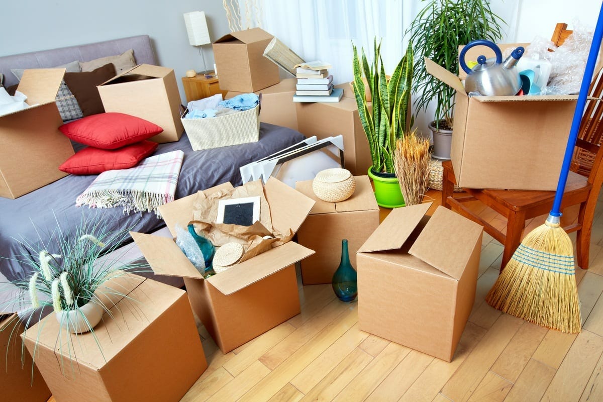 Decluttering Services In Sydney: Reclaim Your Space And Simplify Your Life