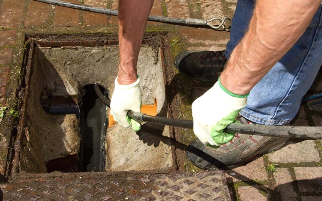 The Silent Menace: Health Impacts of Blocked Drains in Wahroonga