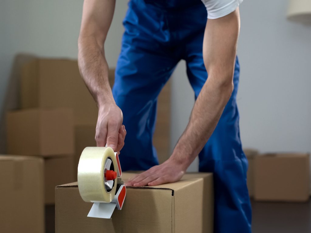 bondi removalists
