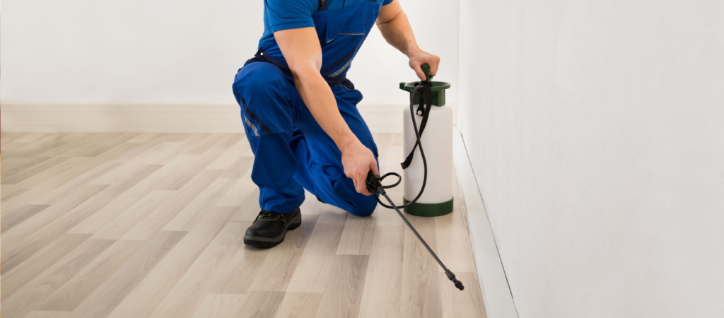 Bee Pest Control Melbourne