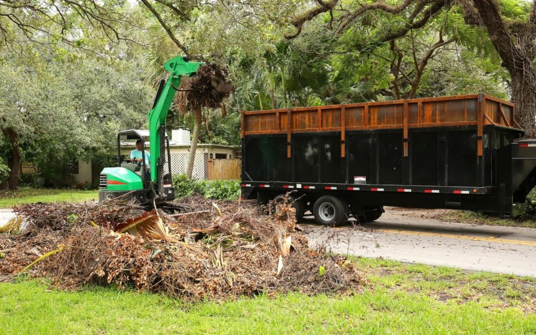 How Rubbish Removal In Marrickville Is Revolutionising Waste Management For A Cleaner Tomorrow